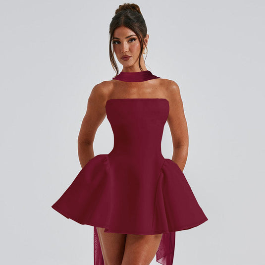 "Sexy Back-Zip Tube Mini Dress – Partywear for Women"