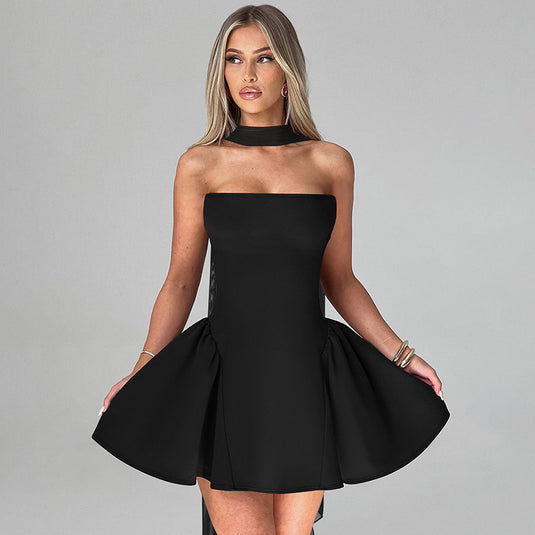"Sexy Back-Zip Tube Mini Dress – Partywear for Women"