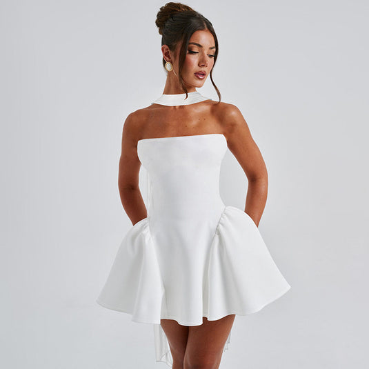 "Sexy Back-Zip Tube Mini Dress – Partywear for Women"